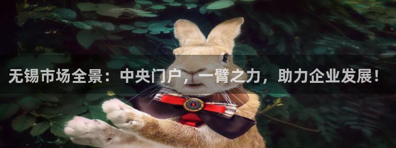 风暴娱乐自动挂：无锡市场全景：中央门户，一臂之力，助力企业发