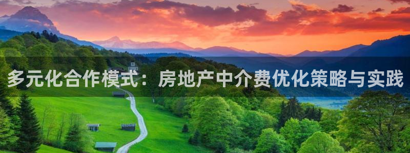 风暴娱乐1：多元化合作模式：房地产中介费优化策略与实践