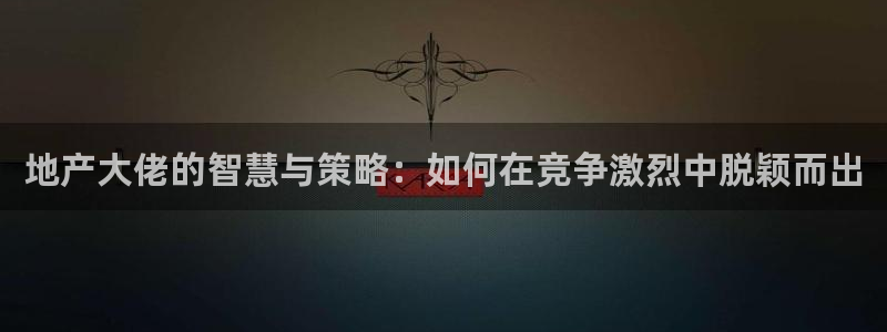 风暴眼娱乐：地产大佬的智慧与策略：如何在竞争激烈中脱颖而出