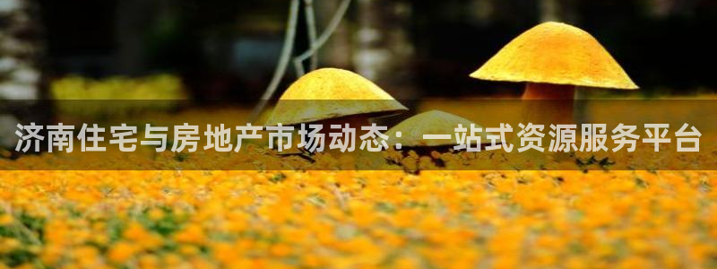 风暴数字娱乐：济南住宅与房地产市场动态：一站式资源服务平台