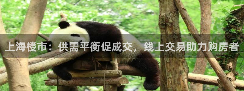 风暴娱乐右5指尖：上海楼市：供需平衡促成交，线上交易助力购房