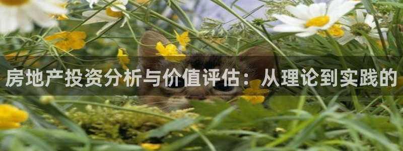 风暴娱乐实况：房地产投资分析与价值评估：从理论到实践的