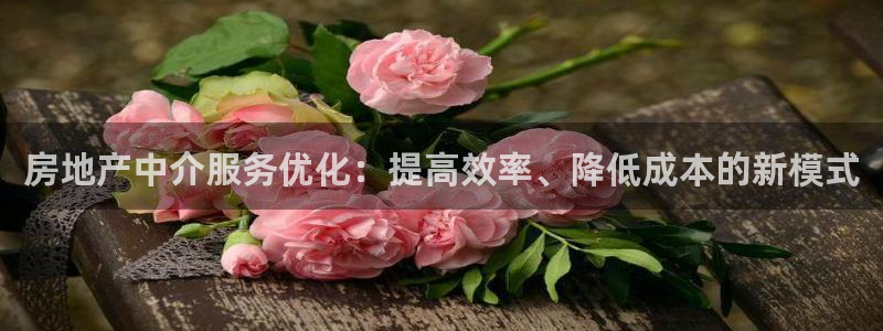 风暴娱乐园：房地产中介服务优化：提高效率、降低成本的新模式