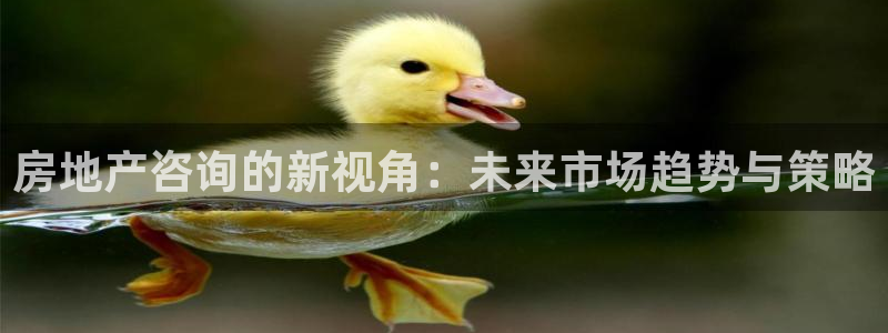 风暴娱乐地5指尖：房地产咨询的新视角：未来市场趋势与策略