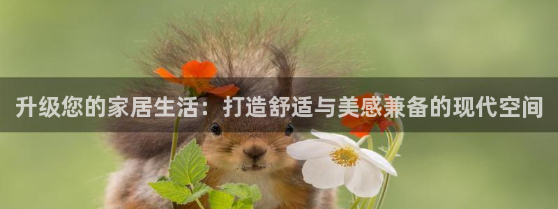 风暴娱乐：升级您的家居生活：打造舒适与美感兼备的现代空间