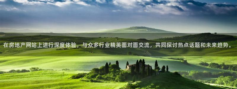 风暴娱乐银川：在房地产网站上进行深度体验，与众多行业精英面对