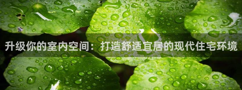 风暴娱乐上5指尖：升级你的室内空间：打造舒适宜居的现代住宅环