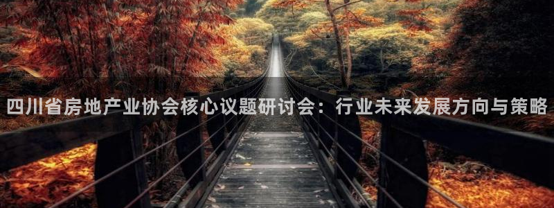 风暴娱乐主页：四川省房地产业协会核心议题研讨会：行业未来发展