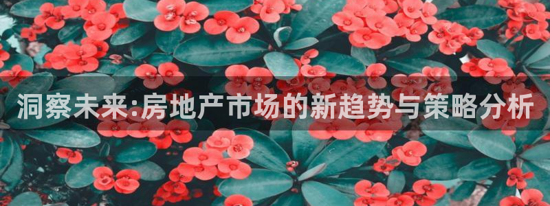 娱乐星空风暴：洞察未来:房地产市场的新趋势与策略分析