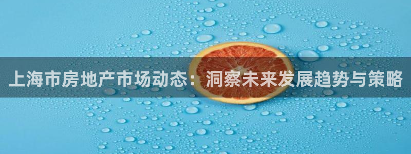 娱乐风暴系统：上海市房地产市场动态：洞察未来发展趋势与策略
