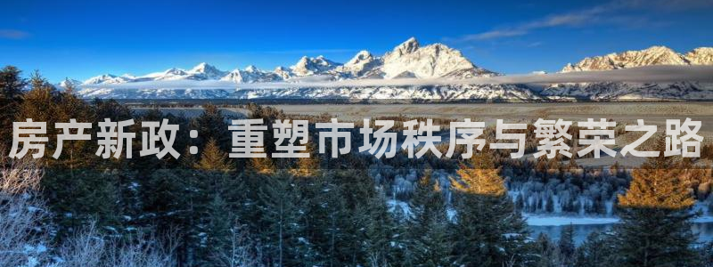 注册风暴娱乐：房产新政：重塑市场秩序与繁荣之路