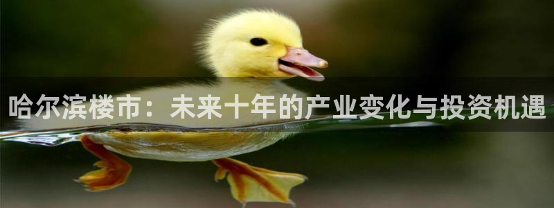 风暴娱乐平台地址：哈尔滨楼市：未来十年的产业变化与投资机遇