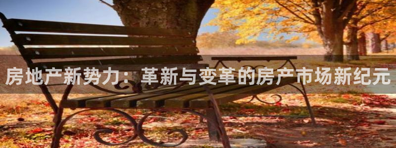4120051风暴娱乐：房地产新势力：革新与变革的房产市场新