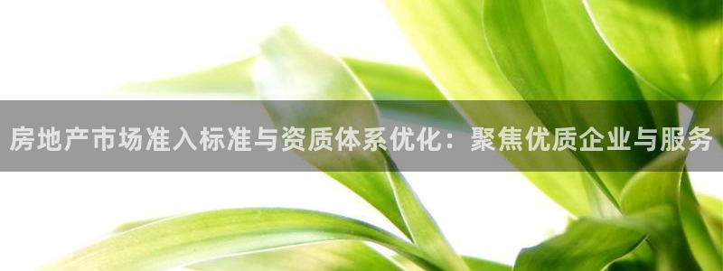 风暴娱乐提现：房地产市场准入标准与资质体系优化：聚焦优质企业