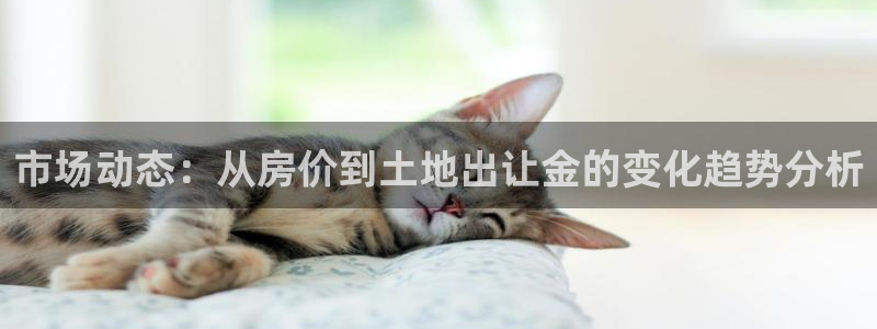 风暴注册娱乐：市场动态：从房价到土地出让金的变化趋势分析