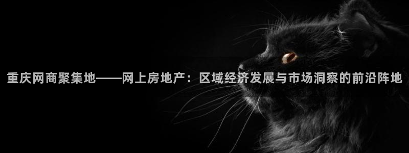 风暴娱乐厅：重庆网商聚集地——网上房地产：区域经济发展与市场