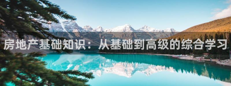 风暴娱乐上5指尖：房地产基础知识：从基础到高级的综合学习