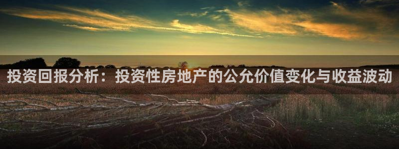 风暴娱乐派对：投资回报分析：投资性房地产的公允价值变化与收益