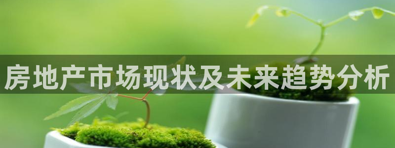风暴娱乐平台地址：房地产市场现状及未来趋势分析
