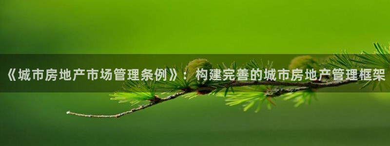 风暴娱乐 平台首页：《城市房地产市场管理条例》：构建完善的城
