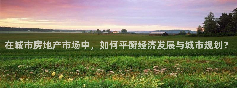 风暴娱乐自动挂：在城市房地产市场中，如何平衡经济发展与城市规