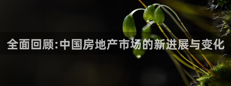 风暴娱乐园：全面回顾:中国房地产市场的新进展与变化