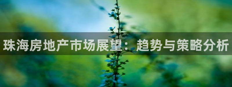 风暴娱乐上5指尖