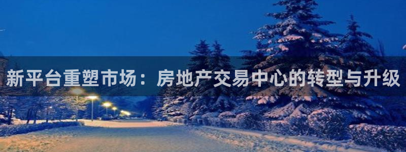 风暴娱乐fb：新平台重塑市场：房地产交易中心的转型与升级