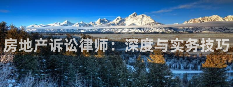 风暴英雄娱乐：房地产诉讼律师：深度与实务技巧