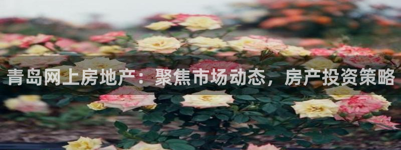 风暴娱乐派对：青岛网上房地产：聚焦市场动态，房产投资策略