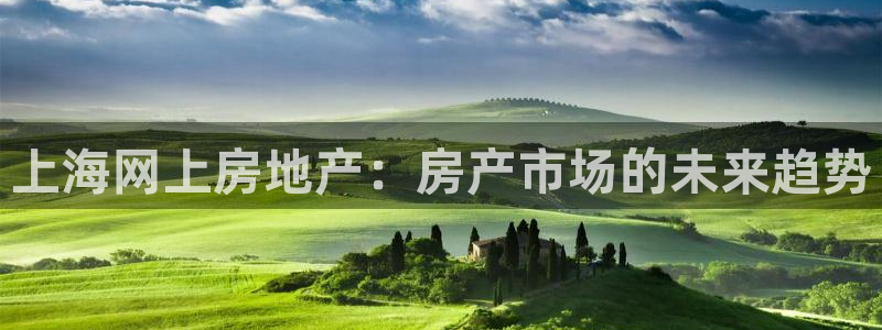 风暴大厅娱乐：上海网上房地产：房产市场的未来趋势