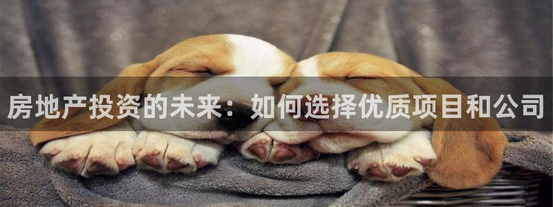 风暴娱乐派对：房地产投资的未来：如何选择优质项目和公司