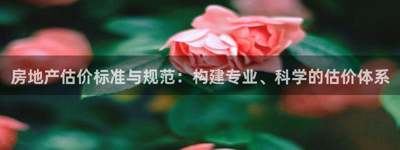 风暴娱乐登录网址：房地产估价标准与规范：构建专业、科学的估价