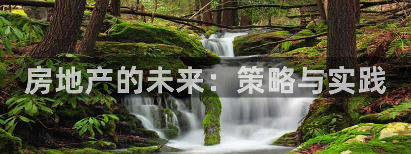 风暴娱乐测速：房地产的未来：策略与实践