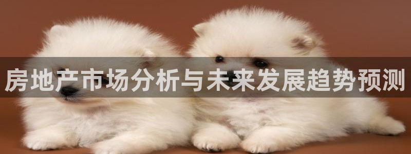 风暴娱乐客服：房地产市场分析与未来发展趋势预测