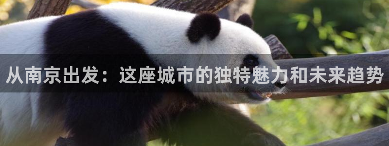风暴平娱乐：从南京出发：这座城市的独特魅力和未来趋势