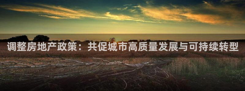 风暴注册娱乐：调整房地产政策：共促城市高质量发展与可持续转型