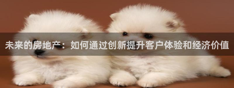 娱乐风暴合集：未来的房地产：如何通过创新提升客户体验和经济价