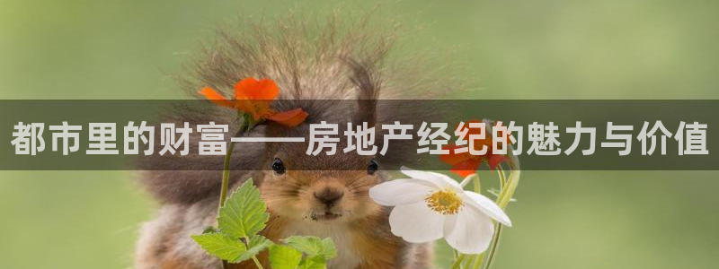 娱乐风暴港：都市里的财富——房地产经纪的魅力与价值