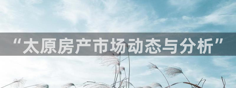 风暴娱乐记：“太原房产市场动态与分析”