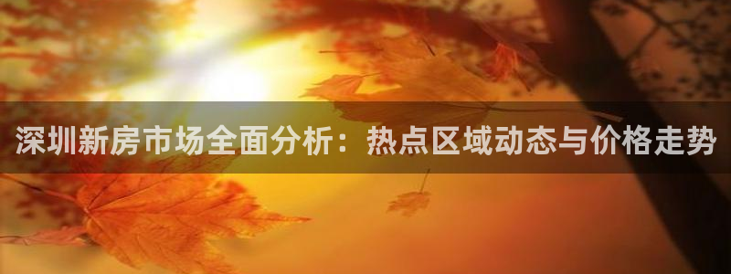风暴娱乐老板：深圳新房市场全面分析：热点区域动态与价格走势
