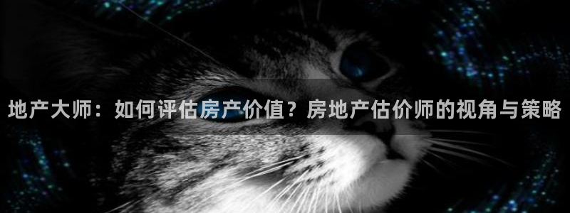 风暴平娱乐：地产大师：如何评估房产价值？房地产估价师的视角与