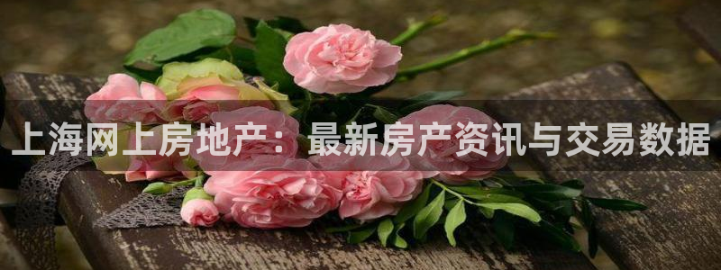风暴娱乐官网开户：上海网上房地产：最新房产资讯与交易数据