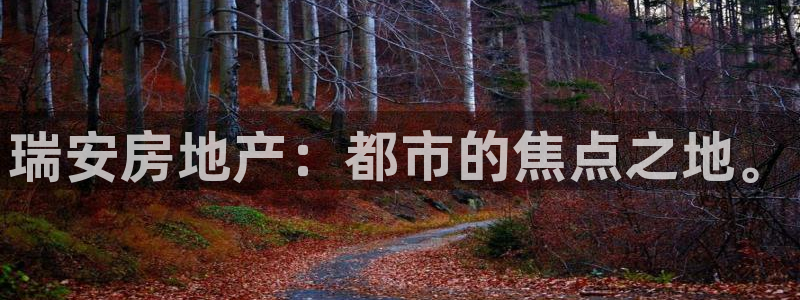 风暴娱乐线路：瑞安房地产：都市的焦点之地。