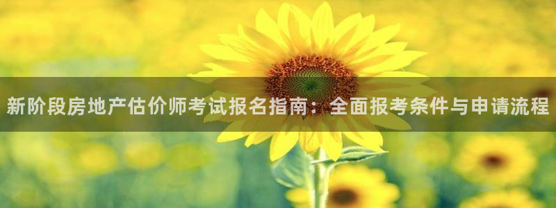 风暴娱乐代理登录：新阶段房地产估价师考试报名指南：全面报考条