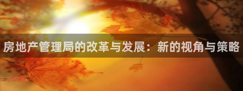 风暴娱乐实况：房地产管理局的改革与发展：新的视角与策略