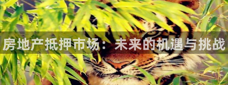 风暴娱乐官网开户：房地产抵押市场：未来的机遇与挑战