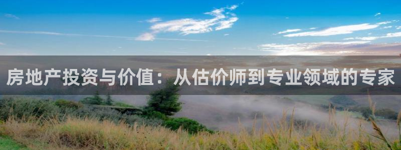 风暴娱乐地5指尖：房地产投资与价值：从估价师到专业领域的专家