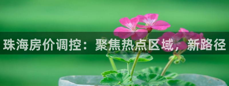 风暴娱乐厅：珠海房价调控：聚焦热点区域，新路径