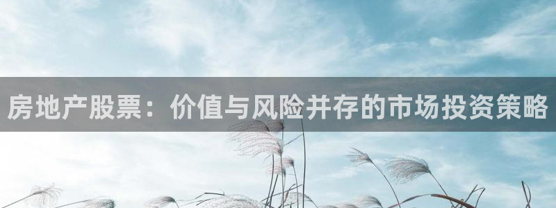 风暴娱乐提现：房地产股票：价值与风险并存的市场投资策略